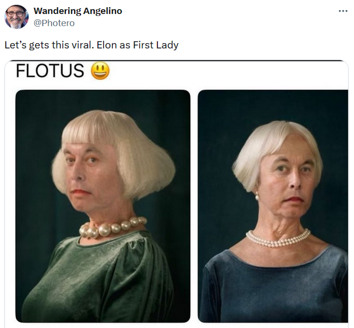 What's Up With All Those Elon Musk First Lady Memes?