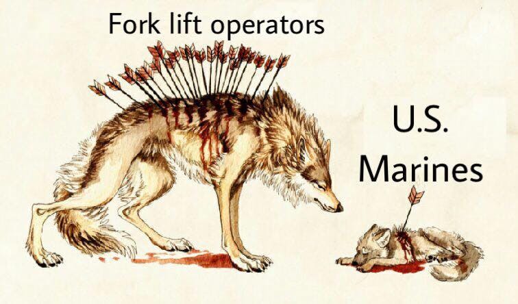 wolf with arrows in back fork lift operators v u.s marines