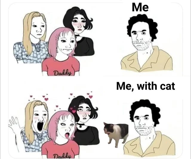 Funny cat meme of attractiveness of a man without a cat and with one.