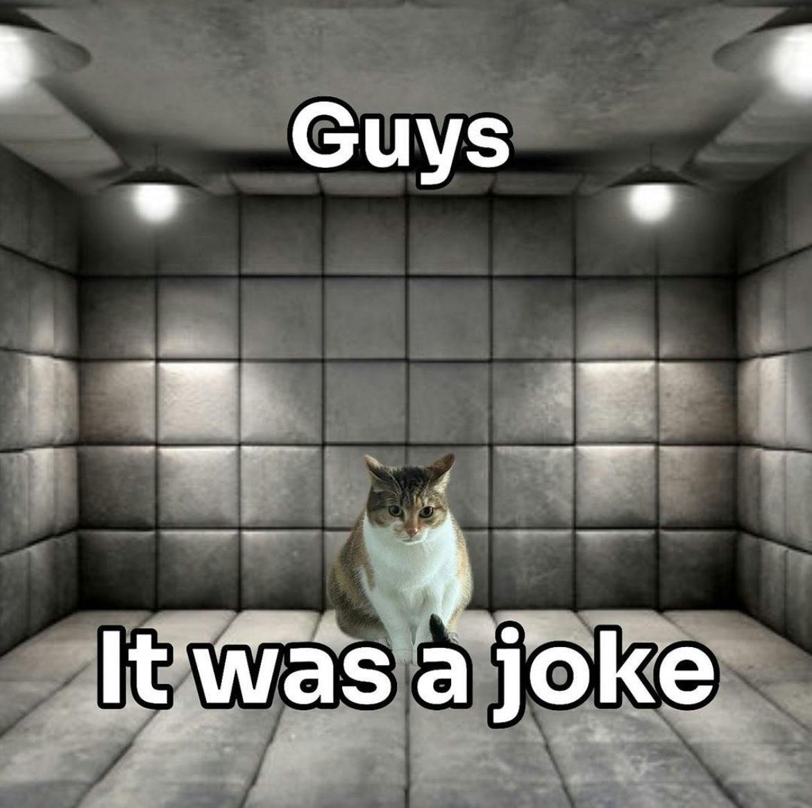 Funny cat meme of a cat in a padded cell, text overlay reads, 'Guys it was a joke.'