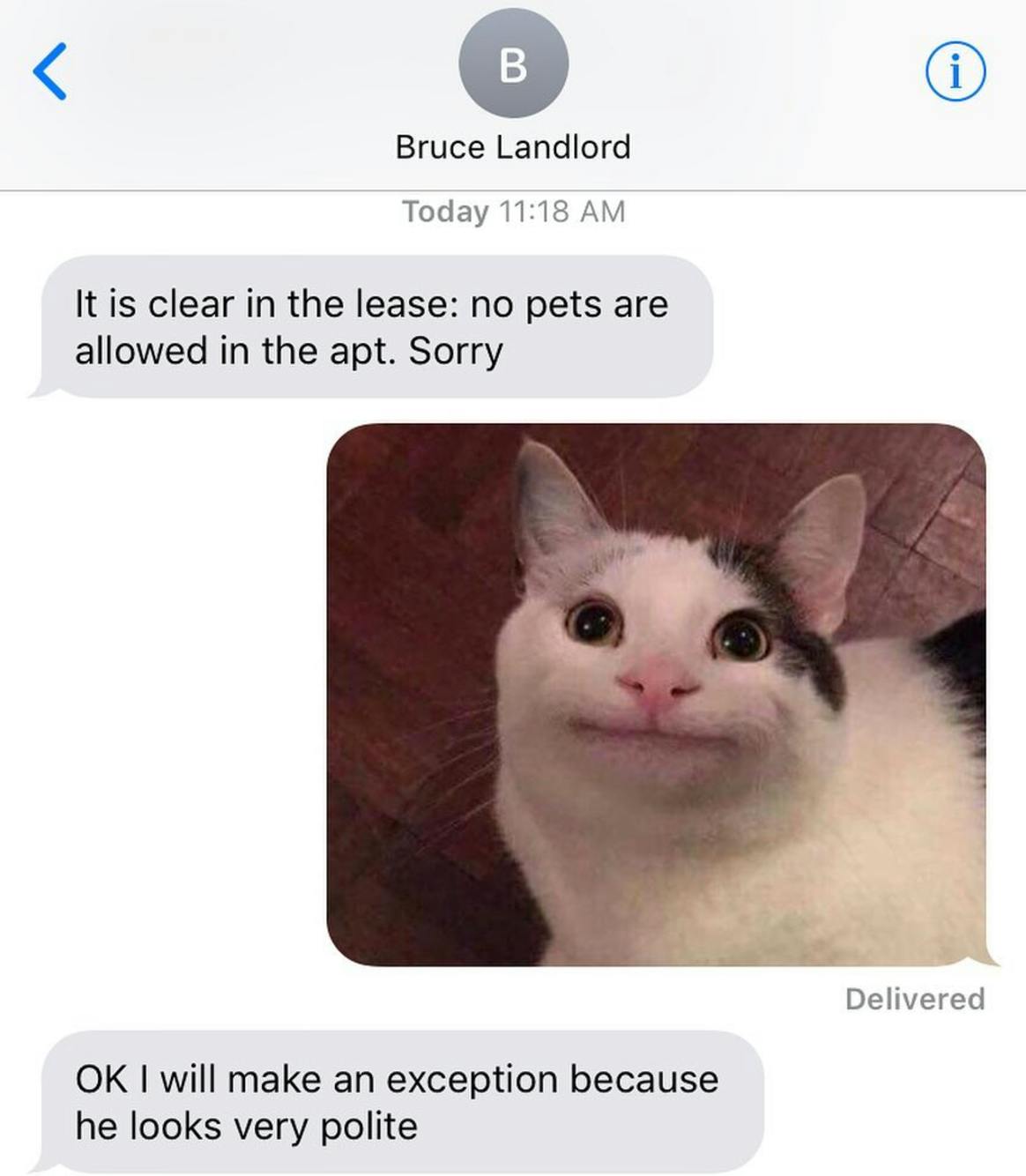 Funny cat meme of a text conversation between a landlord and tenant with an image of Polite Cat.