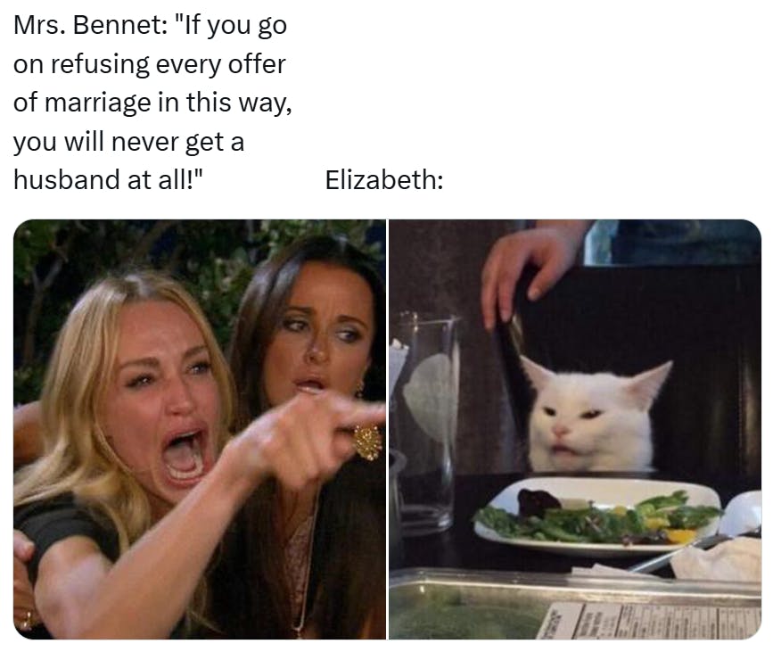 Funny cat meme of woman yelling at cat.