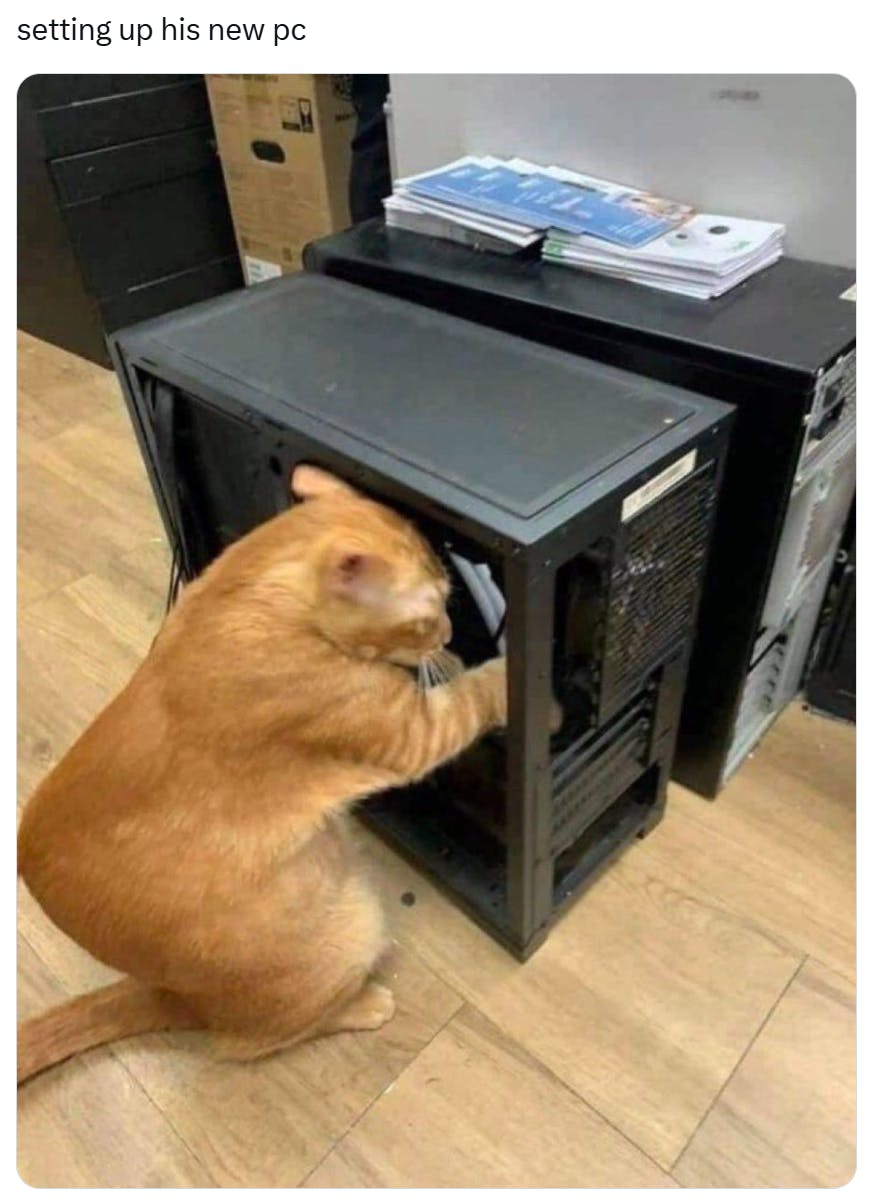 Funny cat meme of a cat setting up his new pc.