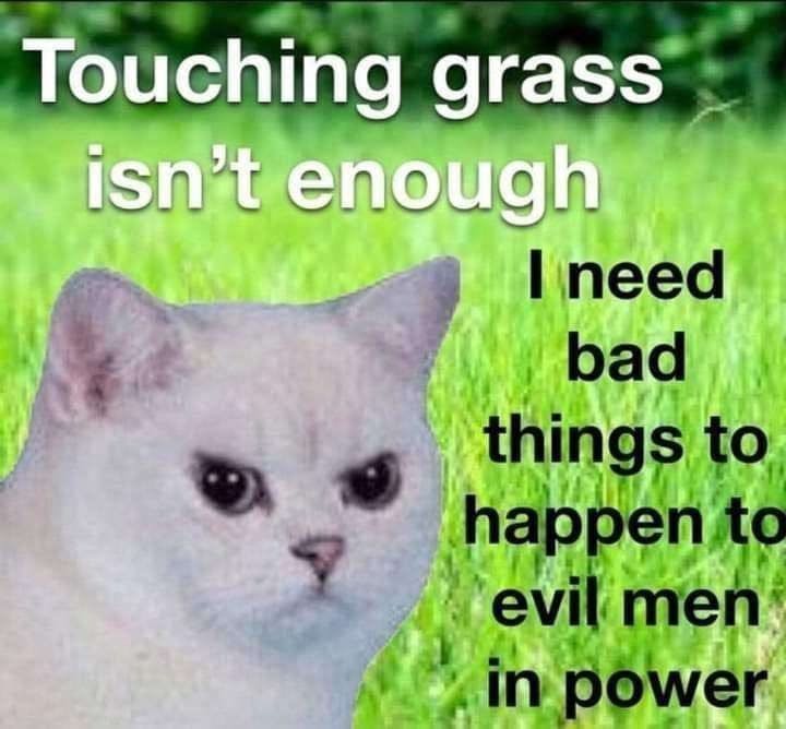 Funny cat meme with an angry cat over an image of grass. 'Touching grass isn't enough. I need bad things to happen to evil men in power.'