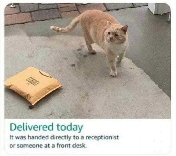 Photo of a cat standing next to an Amazon package with text below saying, 'Delivered today. It was handed directly to a receptionist or someone at a front desk.'