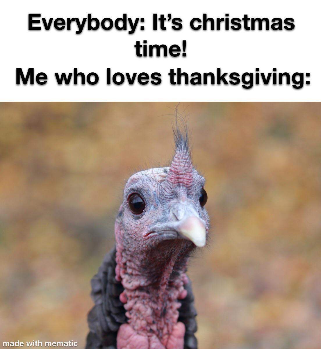 Funny Thanksgiving meme that says, 'Everybody: It's christmas time! Me who loves thanksgiving:' with an image of a turkey staring off to one side.