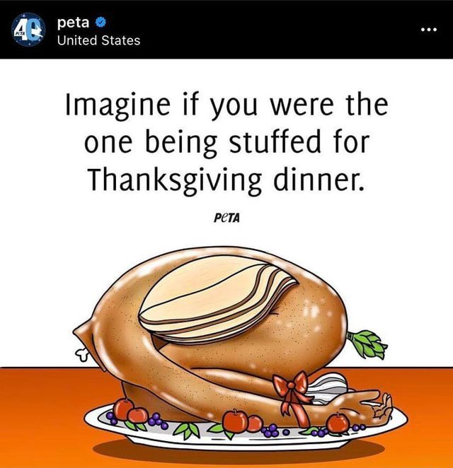 Funny Thanksgiving meme, a screenshot from PETA with text that reads, 'Imagine if you were the one being stuffed for Thanksgiving dinner.'