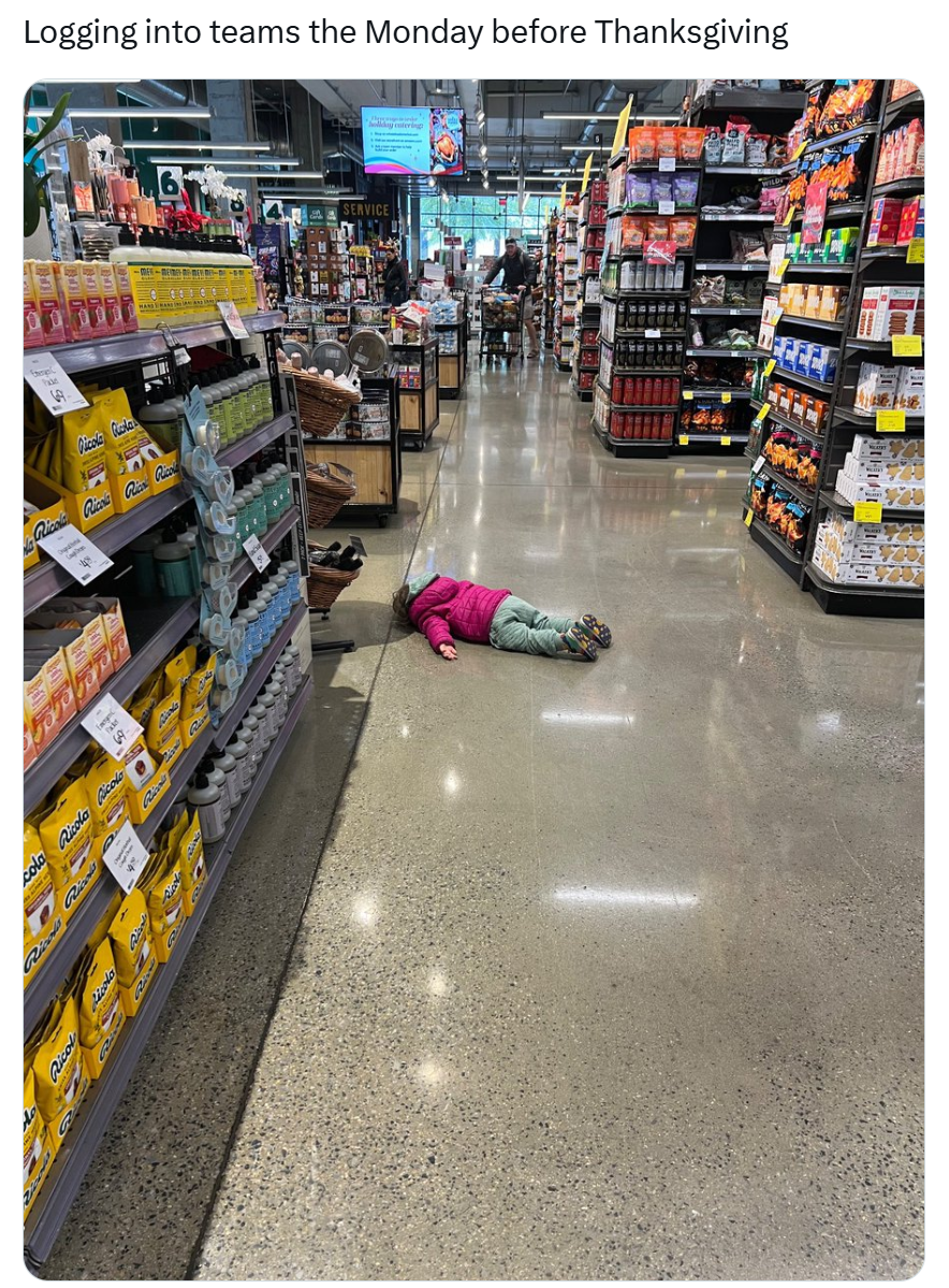 Funny Thanksgiving meme, text reads, 'Logging into teams the Monday before Thanksgiving' with a photo of a little kid in a pink jacket face-down in a grocery store aisle.