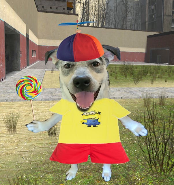 Silly Dog In A Propeller Hat Meme Origins, History, & Examples