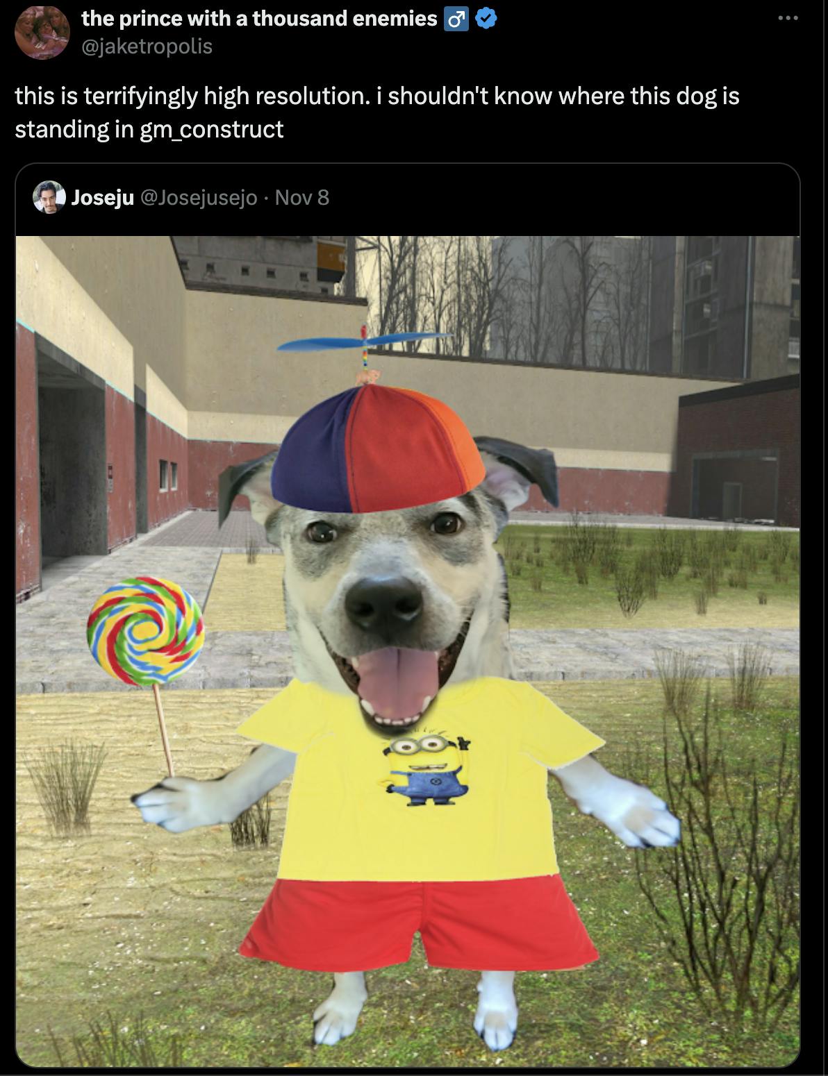 Silly Dog In A Propeller Hat Meme Origins, History, & Examples