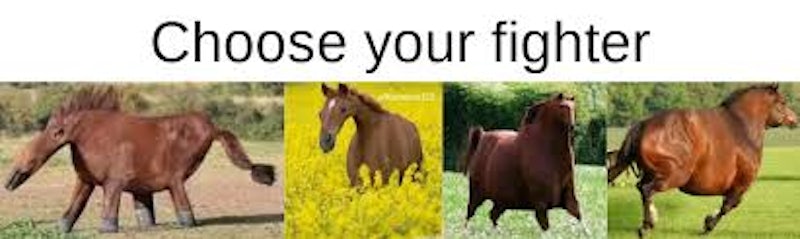 Honse: The Horse Meme With Chunky Proportions