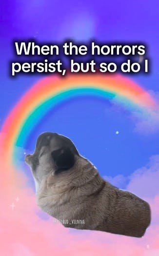 Horrors persist meme from TikTok with pug