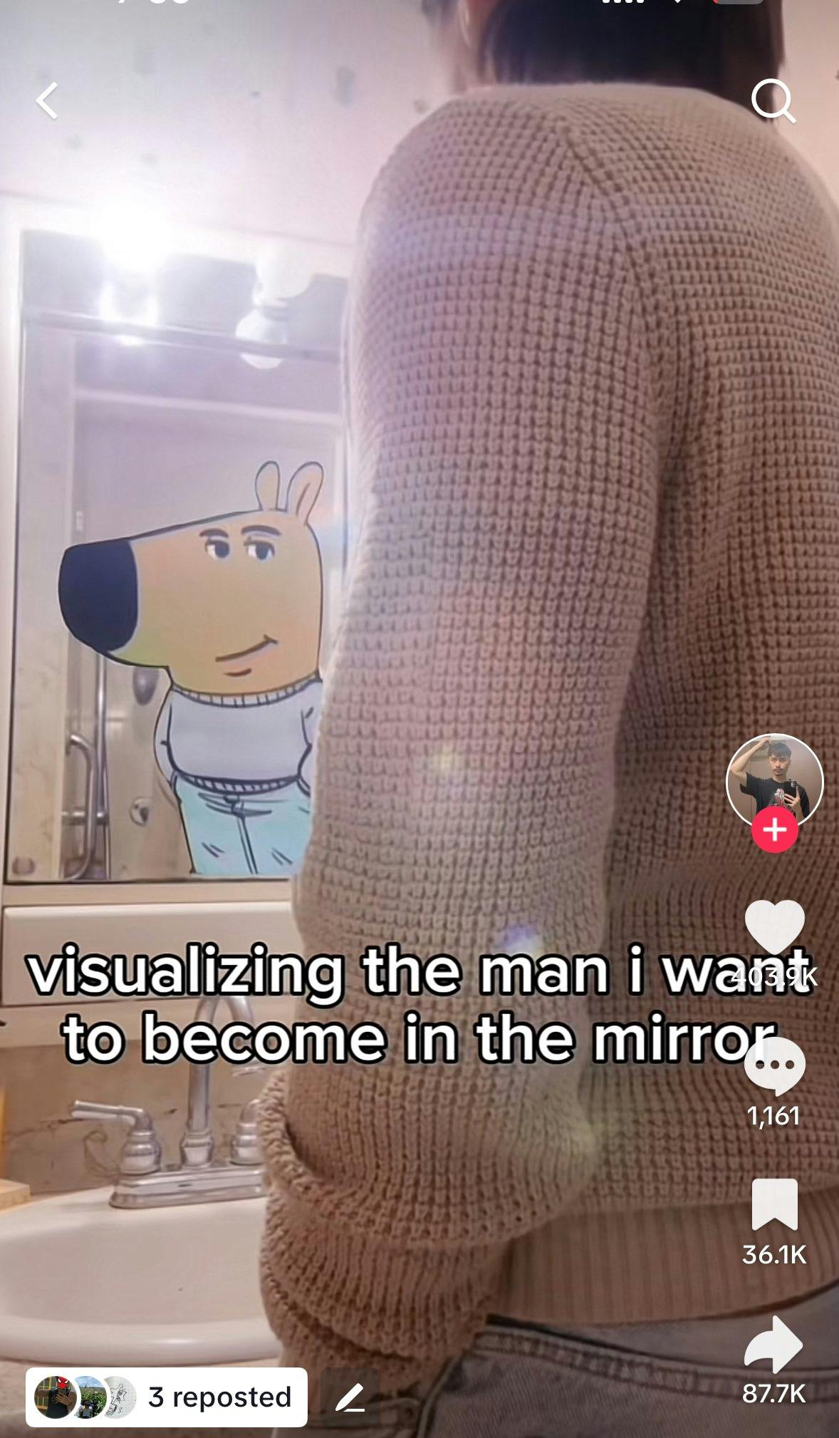 I'm just a chill guy meme of a person looking at 'themselves' in the mirror but it's the anthropomorphic chill guy dog looking back at them.