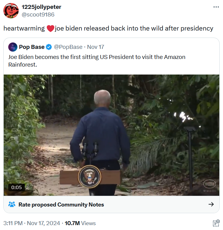 Joe Biden rainforest meme tweet reading 'heartwarming ❤️joe biden released back into the wild after presidency.'