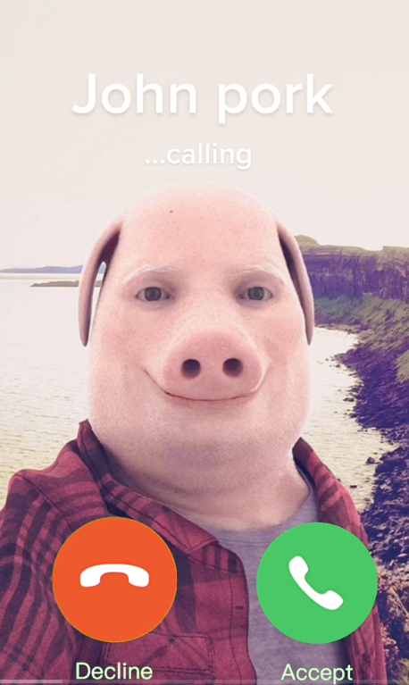 john pork is calling meme