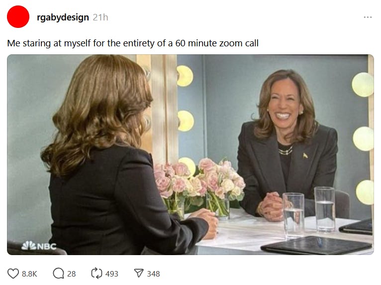 SNL Kamala Harris mirror meme about Zoom calls.