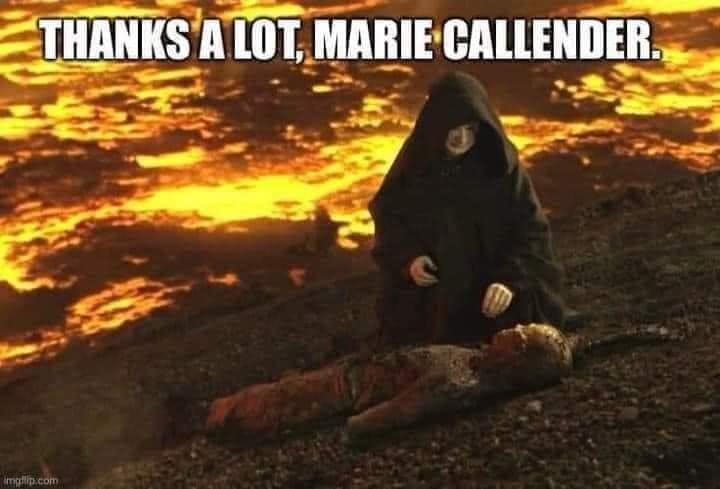 Marie Callender Pie meme with a screenshot of Anakin Skywalker covered in burns.