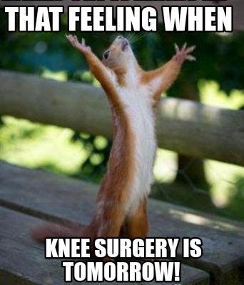 Squirrel celebrating knee surgery is tomorrow meme