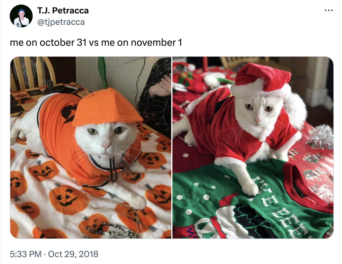 october 31 vs. november 1 meme of a cat in a pumpkin costume and a santa costume.