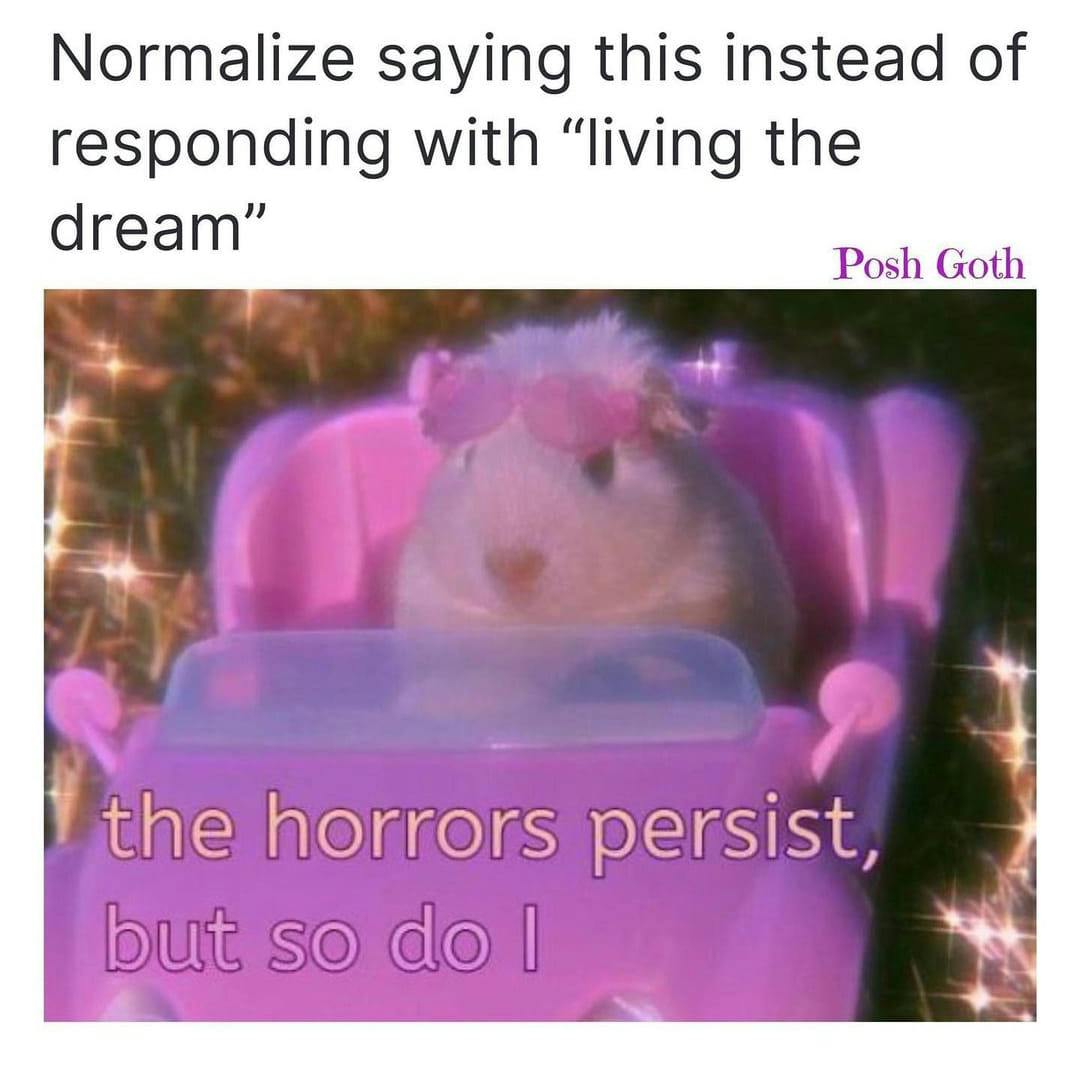 Horrors persist meme about living the dream