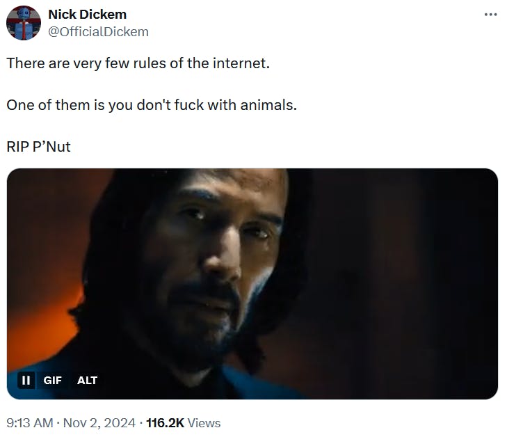 P'nut The Squirrel meme with a John Wick gif.