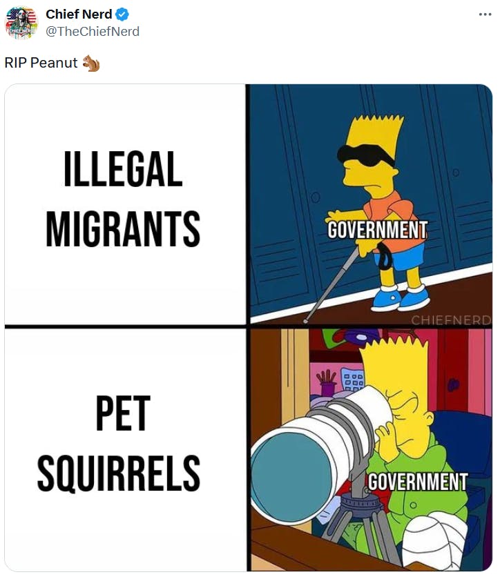 Peanut meme showing Bart Simpson blind and then him using a telescope, both labeled 'government.'