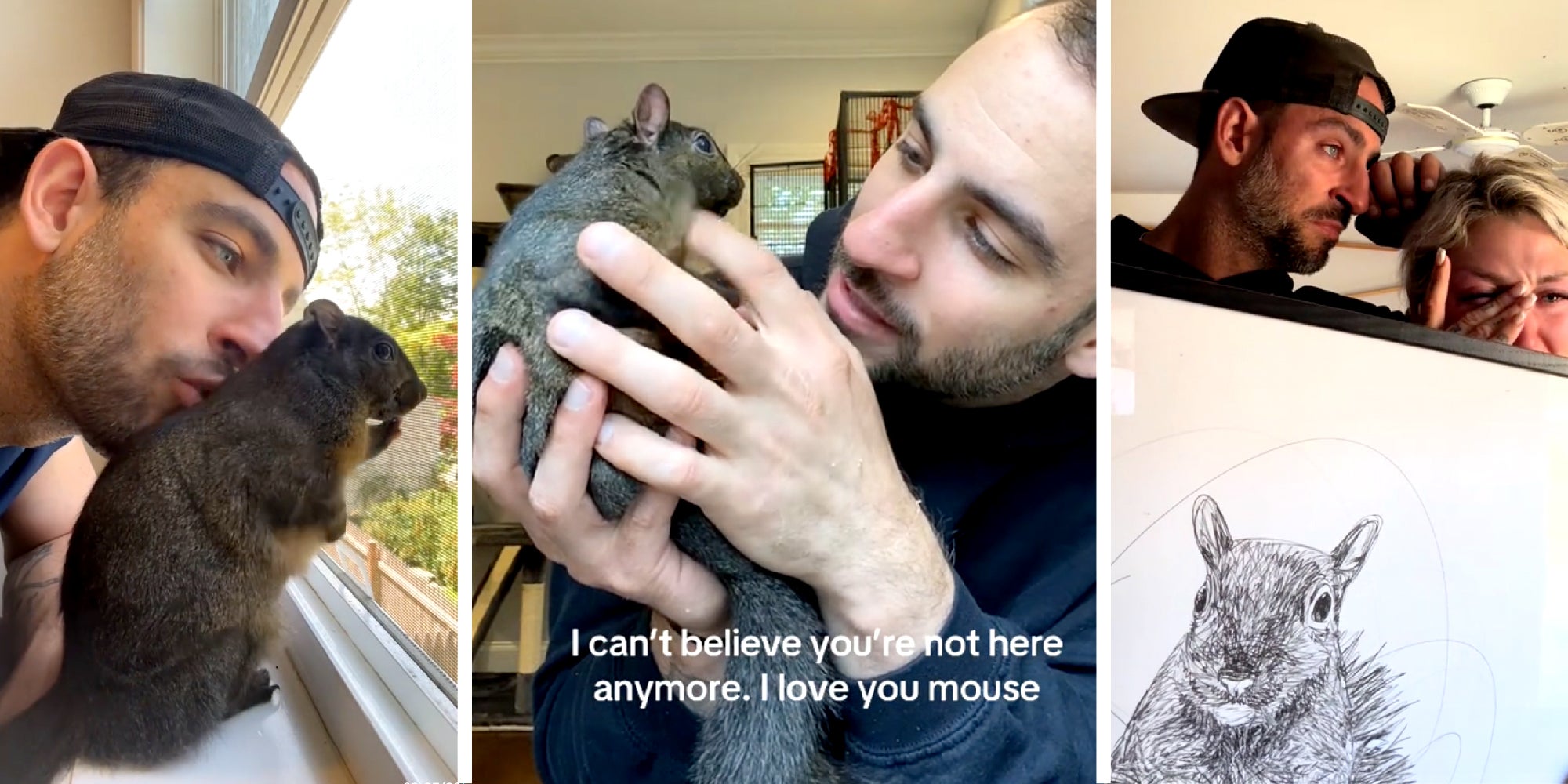 3-part image showing P'nut the squirrel with his owners.