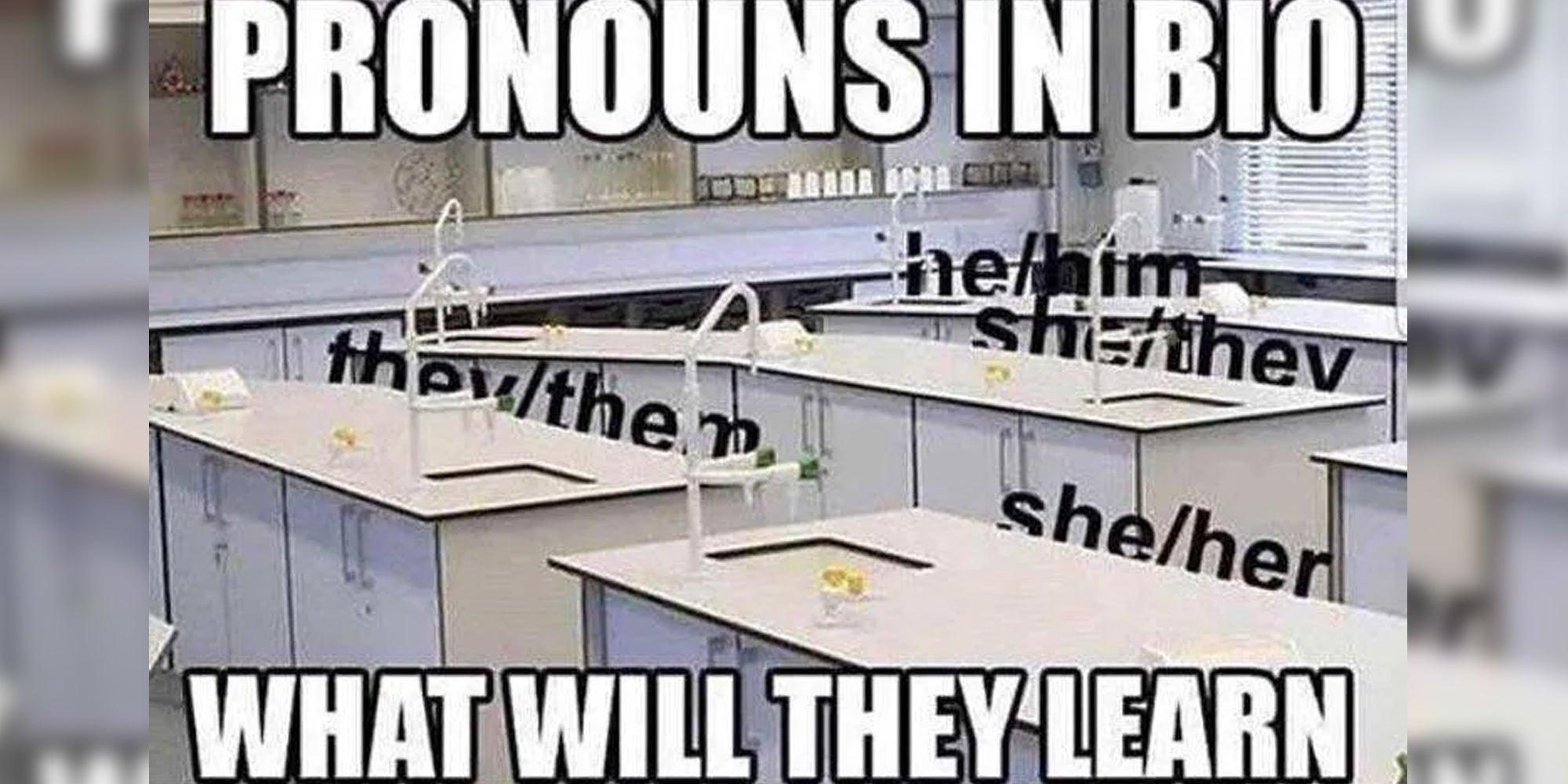 Bio classroom with pronouns behind the tables and text that says 'pronouns in bio - what will they learn'