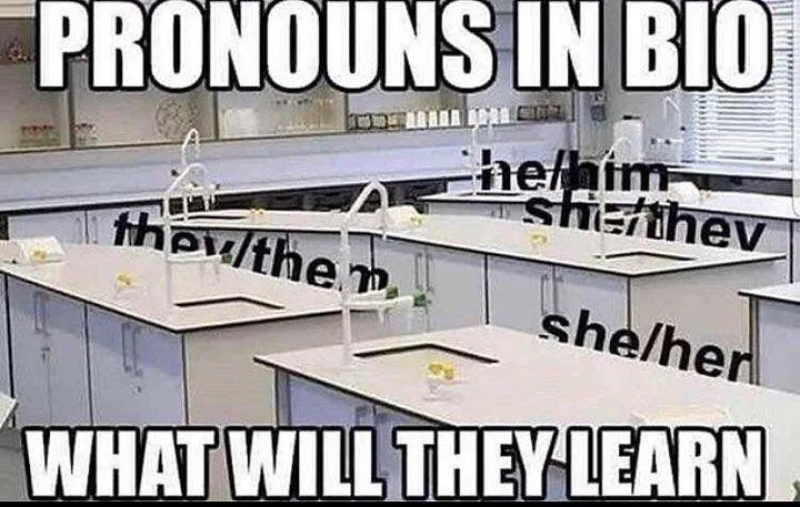 Pronouns in bio meme of bio room