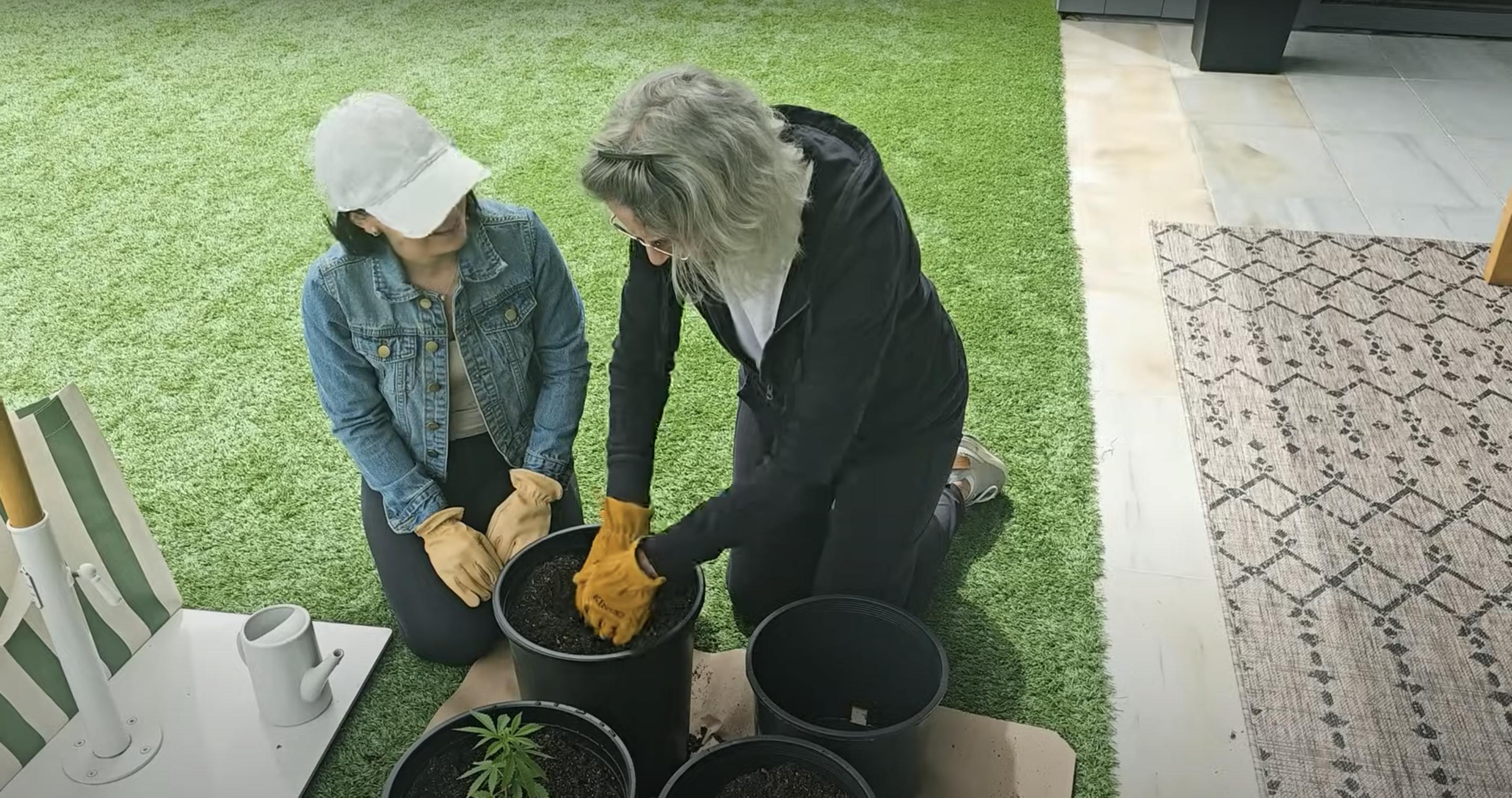 Screenshot of two people potting plants from the Rodiculous Podcast, episode one.