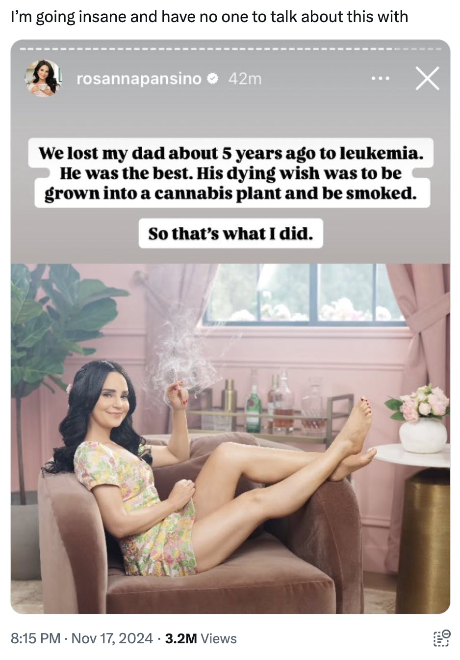 Tweet that reads, 'I'm going insane and have no one to talk about this with.' with a screenshot of Rosanna Pansino's Instagram Story about smoking weed that was planted in her father's ashes.