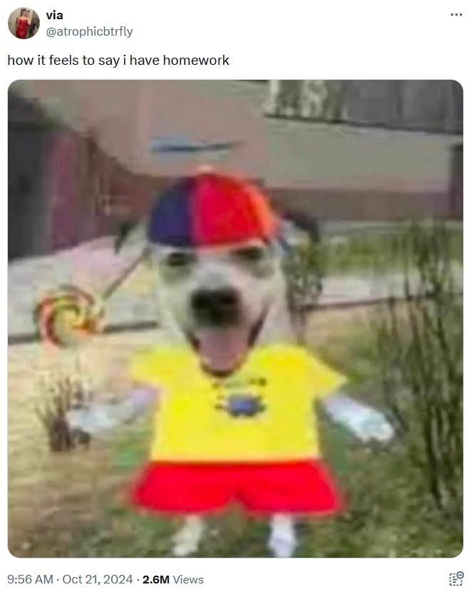 Silly Dog In A Propeller Hat meme about having homework as an adult.