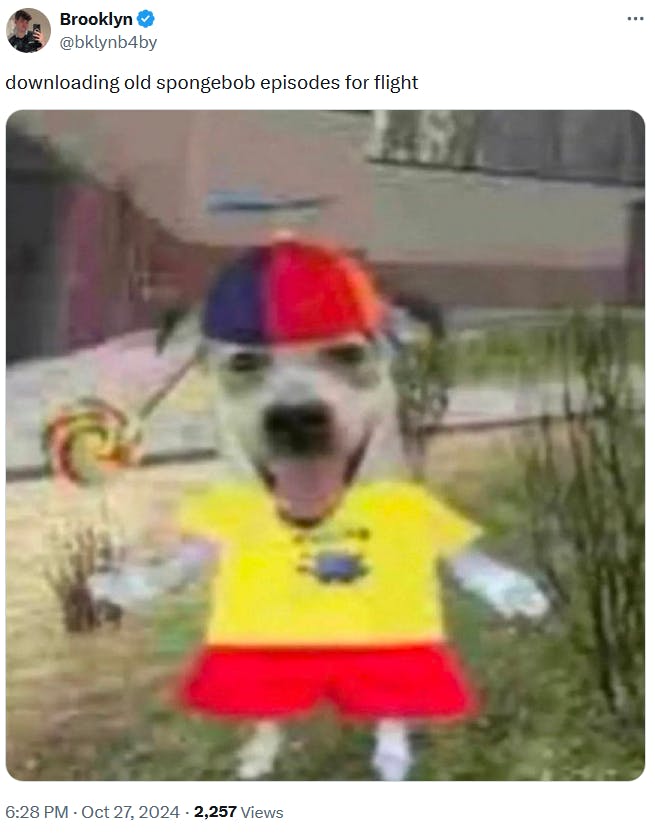 Image of a dog dressed as a child with a joke about watching SpongeBob SquarePants.