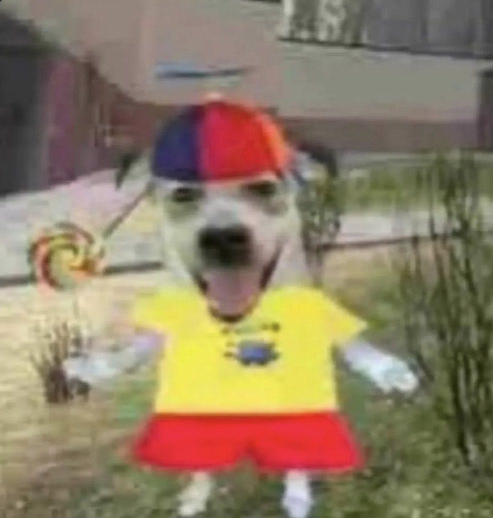 Silly Dog In A Propeller Hat meme template.