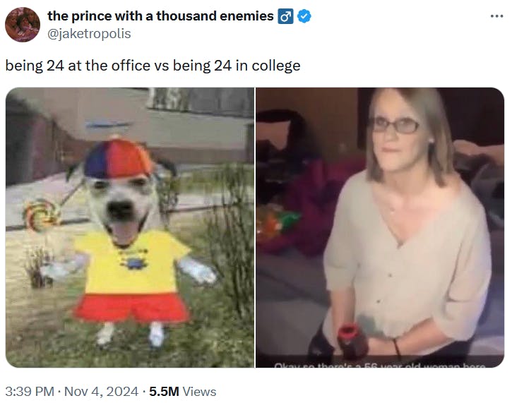 Silly Dog In A Propeller Hat meme about being in the office vs. being in college at age 24.