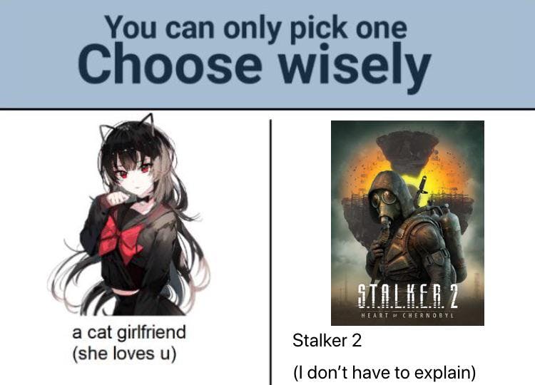 Stalker 2 meme with a 'choose wisely' split of cat girlfriend vs Stalker 2.