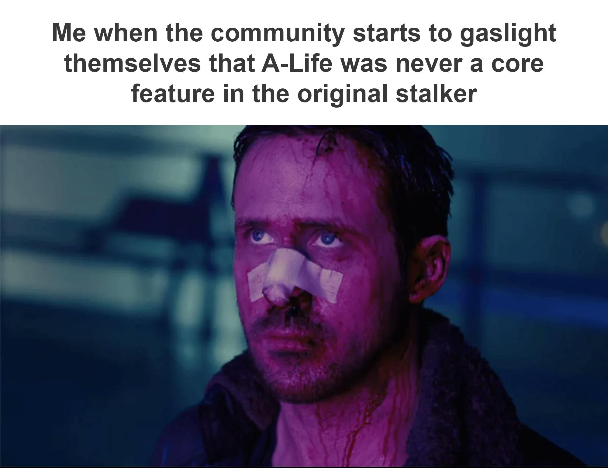 Stalker 2 meme