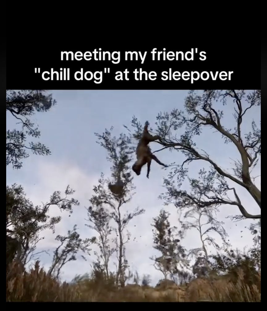 Stalker 2 meme with a dog spinning around in the air. Text overlay reads, 'meeting my friend's 'chill dog' at the sleepover.'