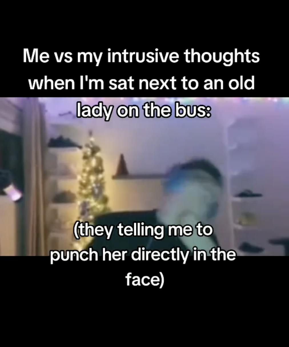 stay in the box meme video with the text overlay saying they want to stab the old lady on the bus.