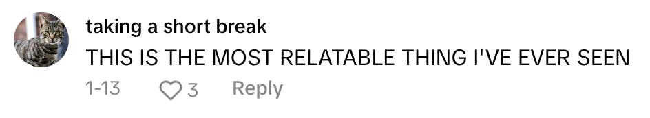 TikTok comment reads, 'THIS IS THE MOST RELATABLE THING I'VE EVER SEEN'