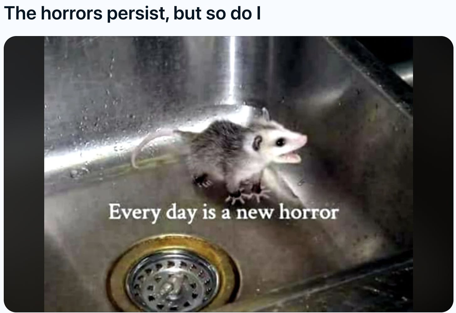 the horrors persist but so do i meme showing a wet possum in a sink screaming