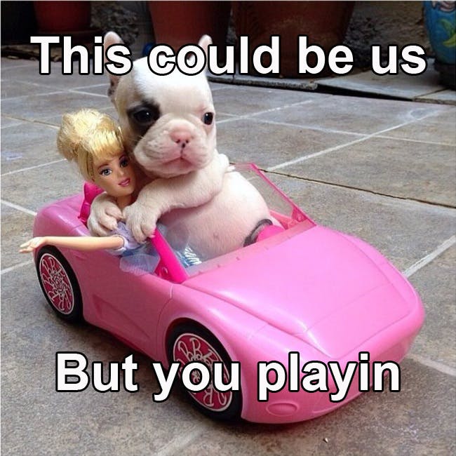 puppy hugging barbie doll in pink toy convertible 'this could be us but you playin'