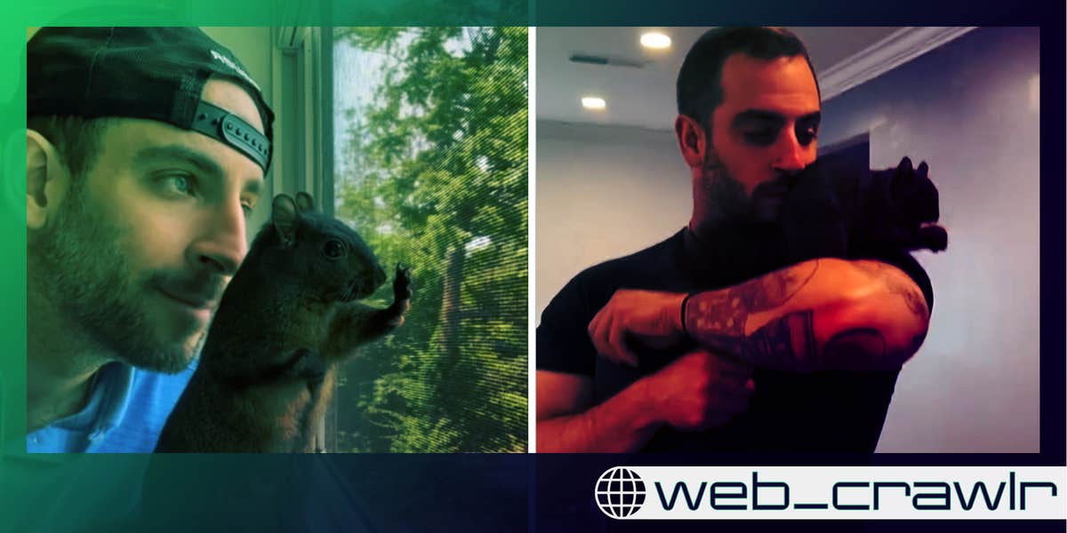 Newsletter: đżď¸ Why did a dead squirrel go viral?