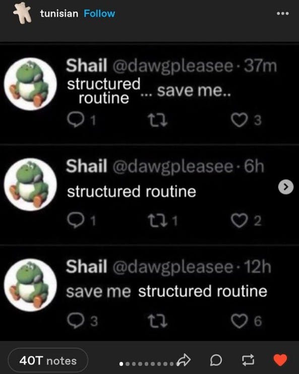 structured routine save me