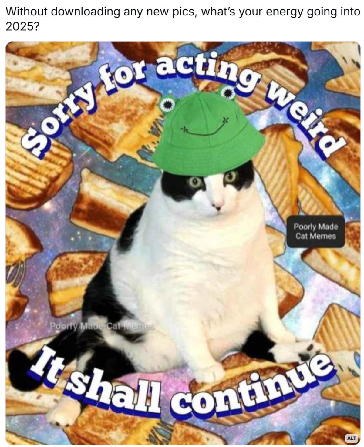34 of the funniest 2025 memes to ring in the new year