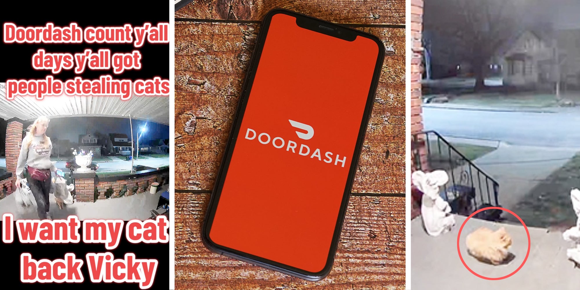 Woman with bags on porch(l), Doordash app on phone(c), Cat on porch(r)