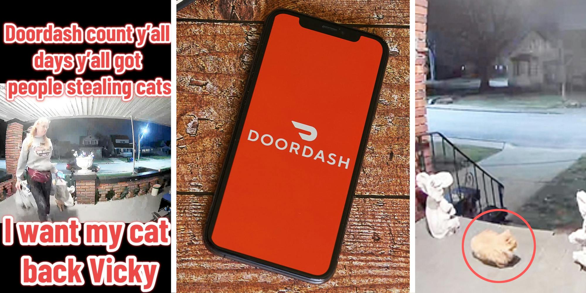 ‘I want my cat back’: Customer catches DoorDash delivery driver stealing her cat off the porch. So why are viewers split?