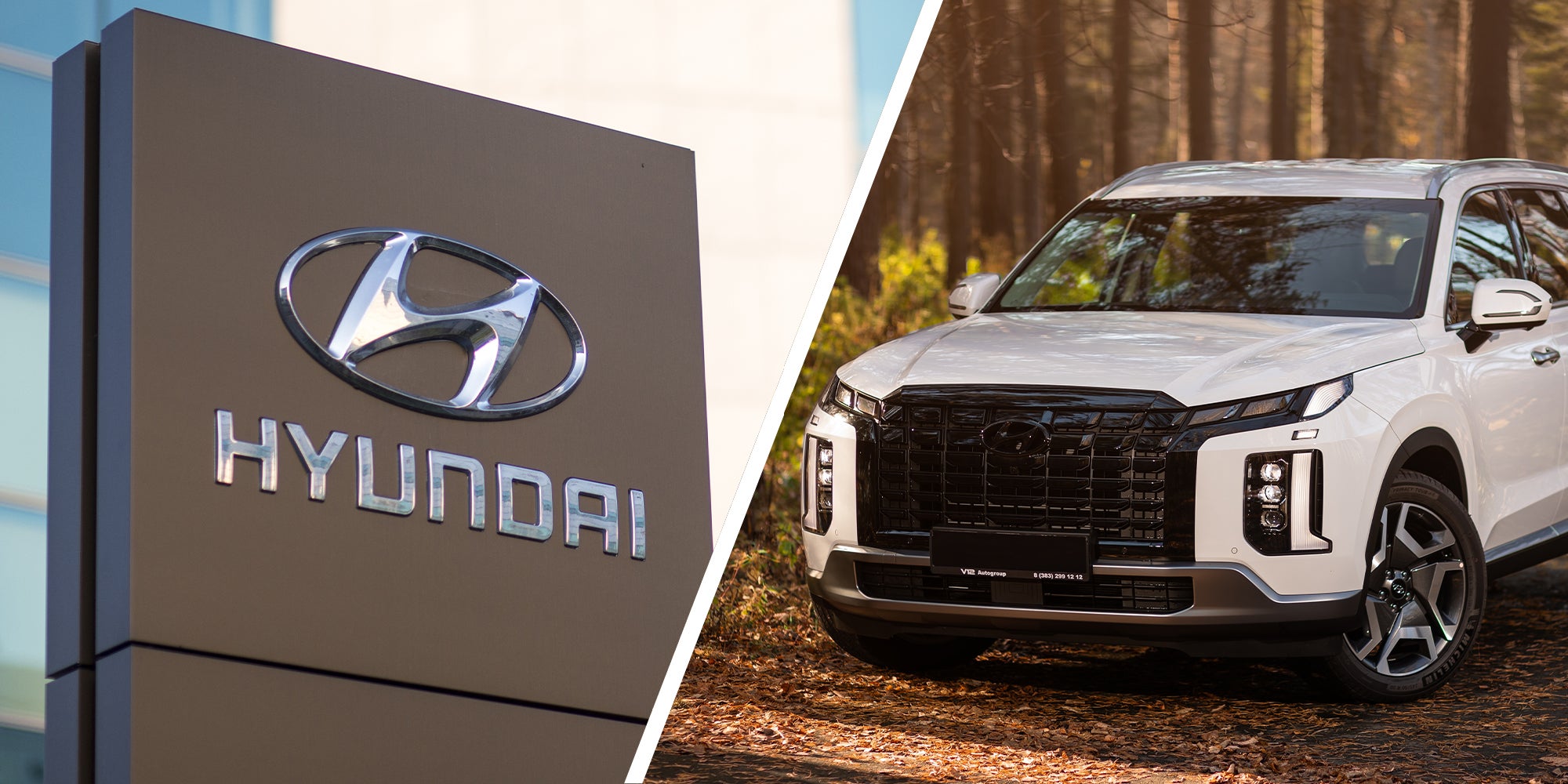 Hyundai dealer sign(l) Hyundai Palisade(r)