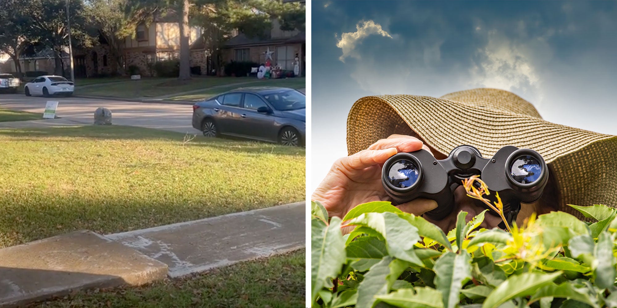 Two panel design with a shot of a park car in a neighborhood in one. next to an image of a nosy neighbor