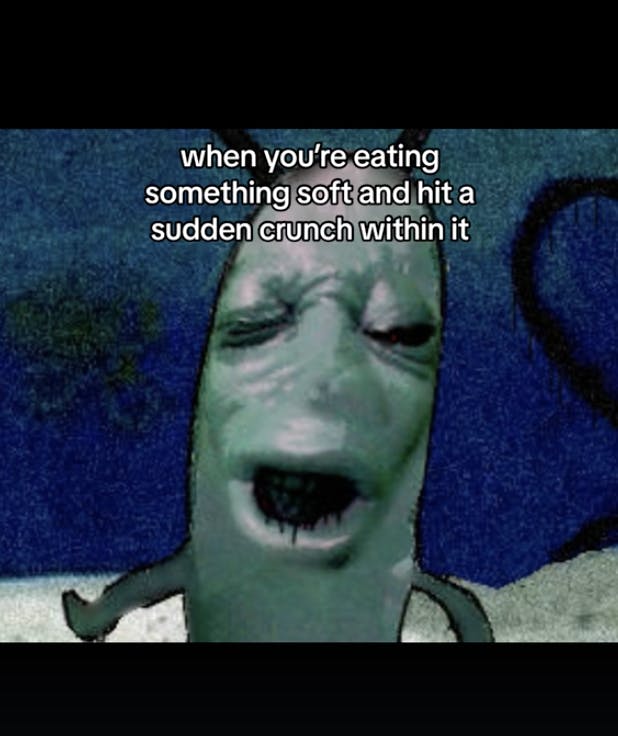 Plankton moan meme describing something soft with a crunch inside of it